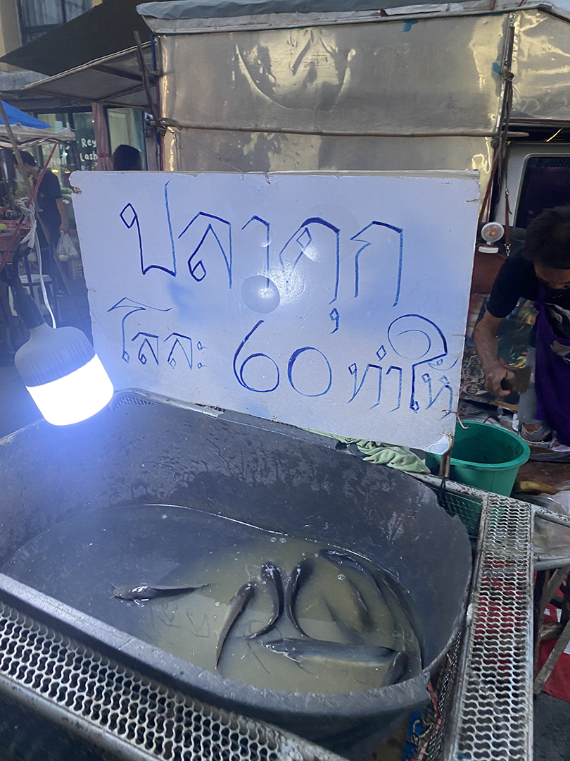 Fish for sale in a large bucket