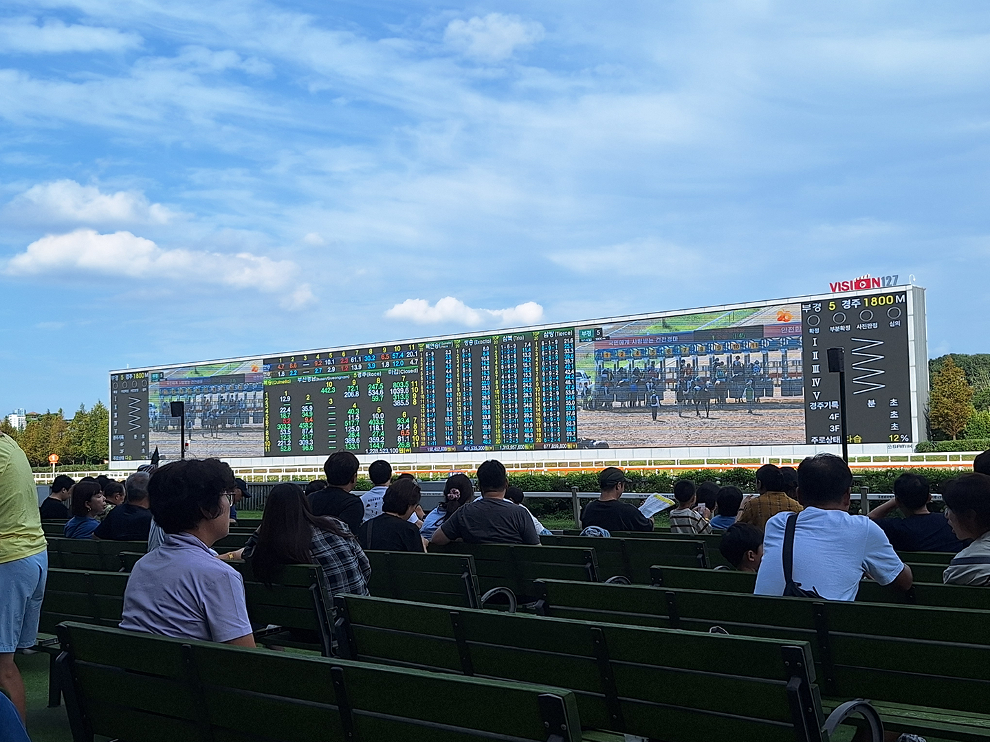 Screen displaying the starting line shortly before a race, along with the related betting lines