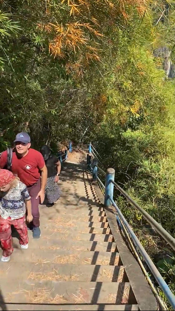 Looking down a steep staircase surrounded by lush green forest