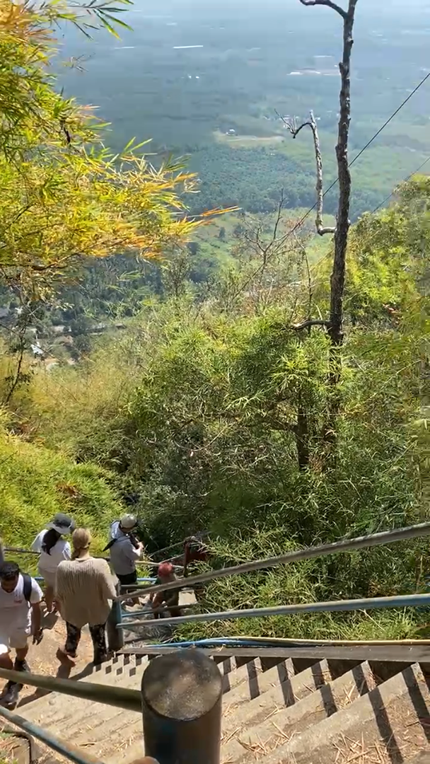 View looking out over the green landscape with the staircase in the foreground