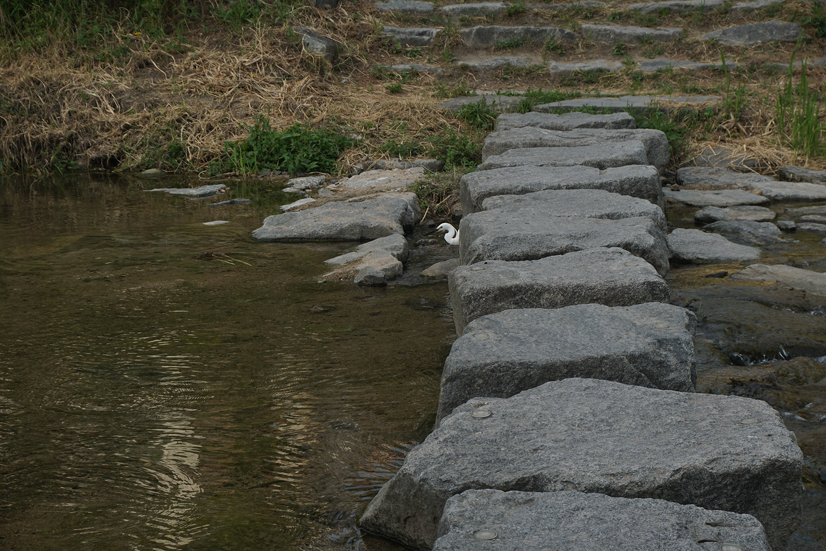 Rock bridge with Egret poking out from behind a stone